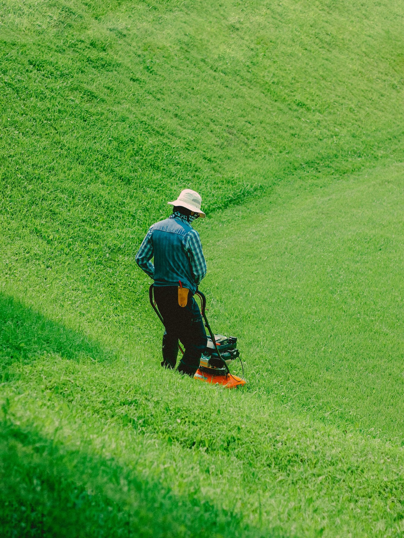 Manicured lawn maintained by Bangall Property Management