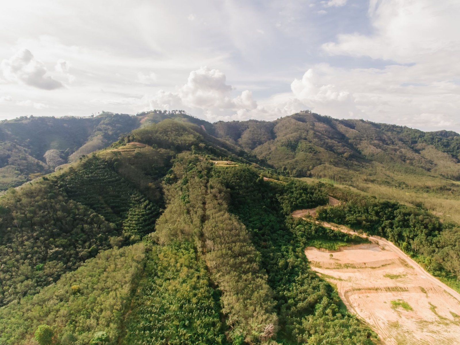 Open property after brush clearing — Land Clearing