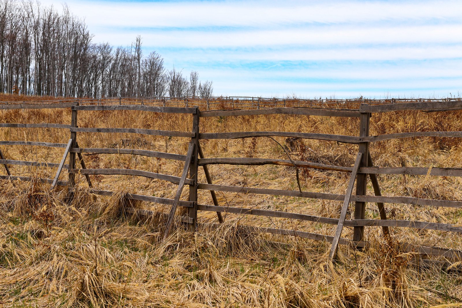New wooden privacy fence