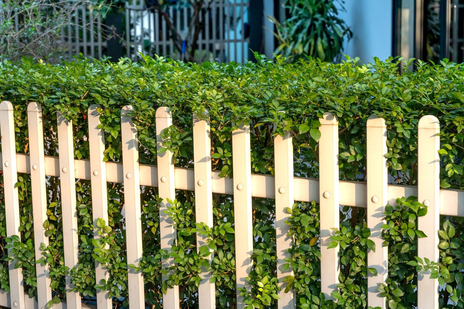 Fence installation by Bangall Property Management